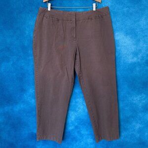 J Jill Brown Stretch Cotton Pants, Size 20W